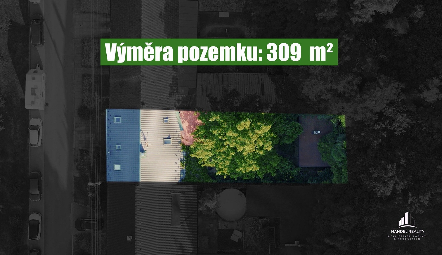 Fotka 12 z 12