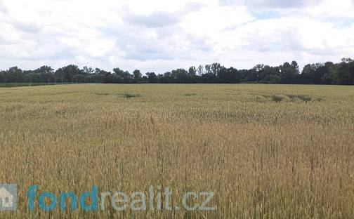 Prodej pozemku 6 038 m², Roudné, okres České Budějovice