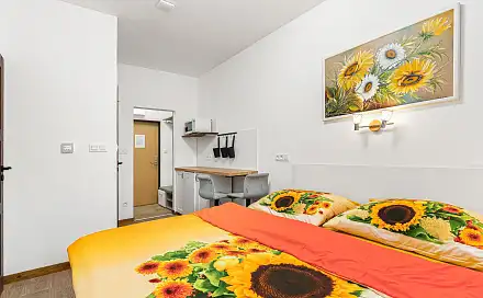 Prodej bytu 1+kk 17 m², Benešov nad Černou - Černé Údolí, okres Český Krumlov