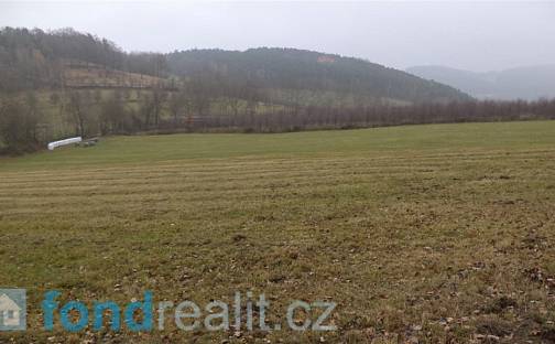 Prodej pozemku 8 776 m², Hracholusky - Vrbice, okres Prachatice