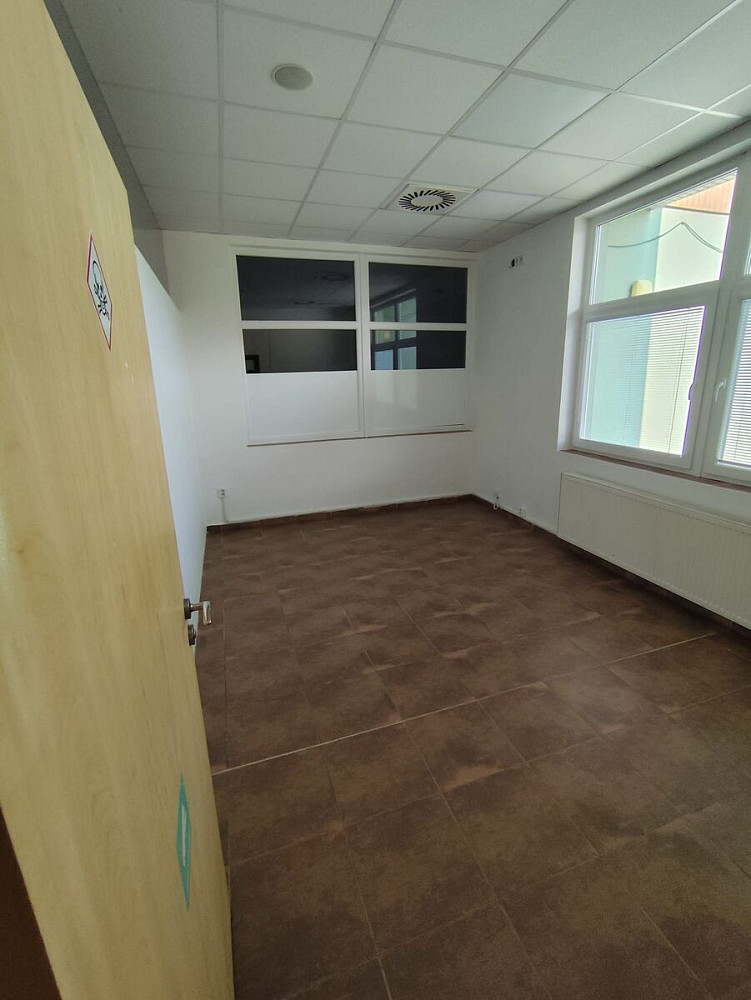 Pronájem obchodních prostor 248 m² — photo 5