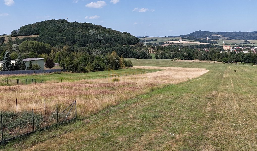 Prodej stavebního pozemku 2 000 m², Hostašovice – náhled fotky 2