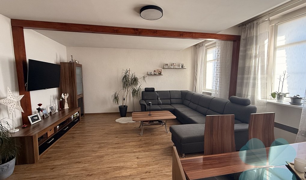 Prodej domu 220 m² s pozemkem 449 m², Radnice – náhled fotky 6