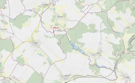 Dražba lesa 150 m², Borovník