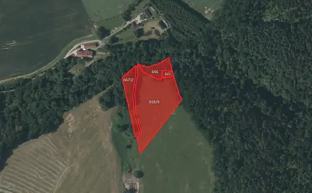 Prodej louky 10 783 m², Lhenice - Třebanice, okres Prachatice