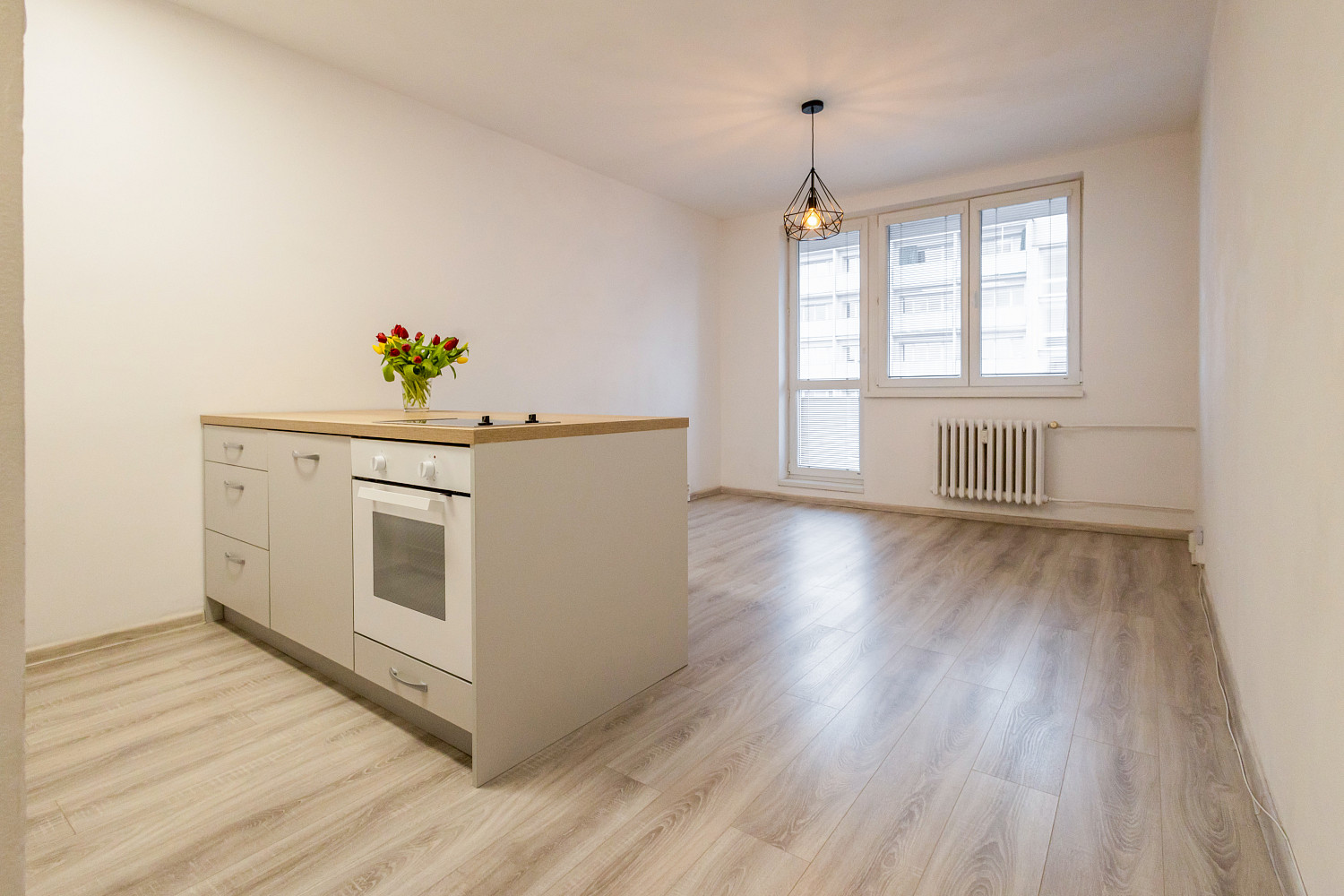 Pronájem bytu 1+kk 29 m² - Widok 5