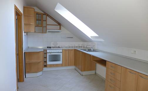 Pronájem bytu 3+kk 98 m², Na Vápenicích, Plzeň - Černice