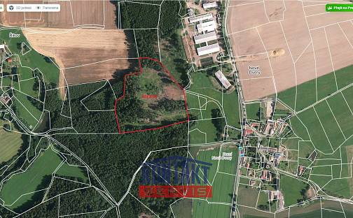 Prodej lesa 40 017 m², Ješetice, okres Benešov