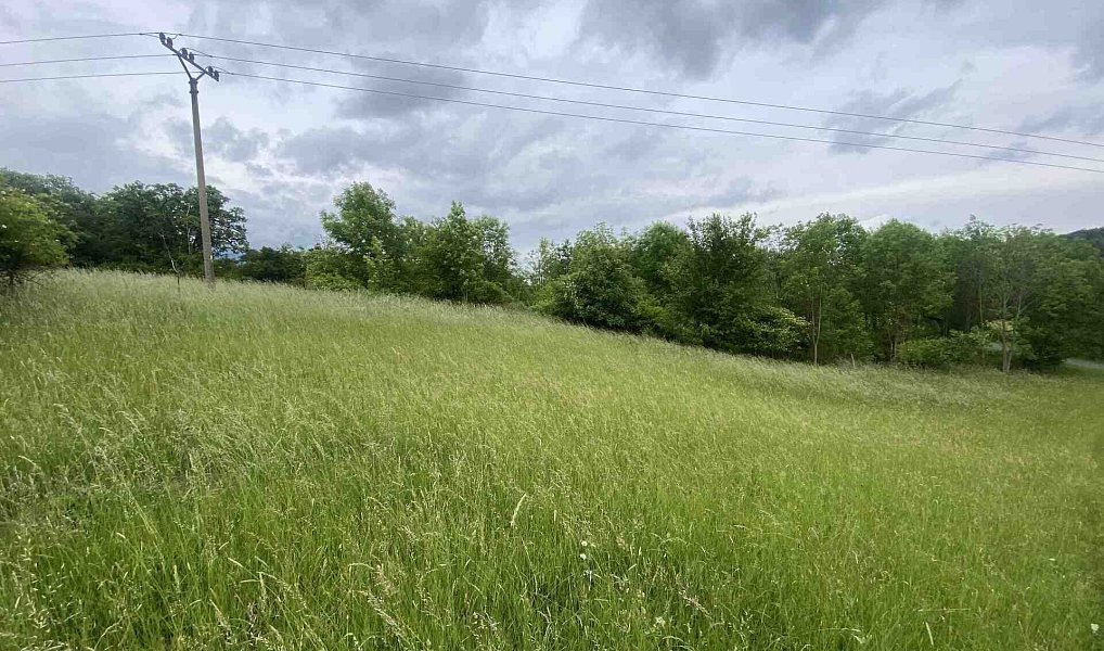 Prodej pole 12 772 m², Třebívlice – náhled fotky 4