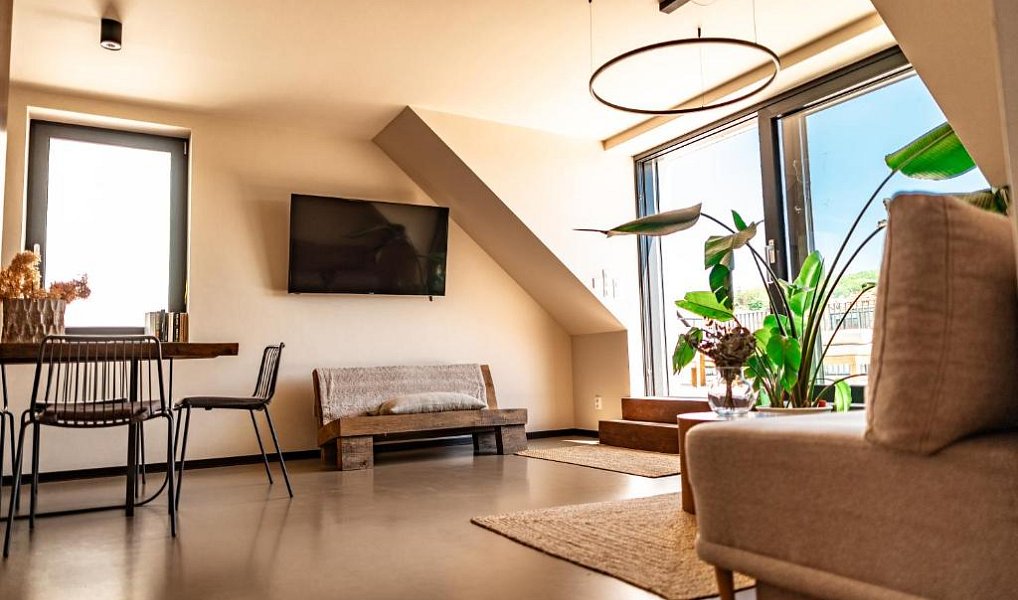 Pronájem bytu 3+kk 80 m², Mikulov – náhled fotky 2
