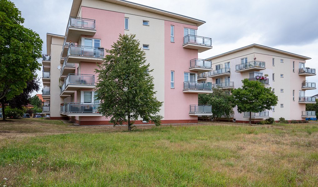 Pronájem bytu 1+kk 36 m², Roztoky – náhled fotky 8