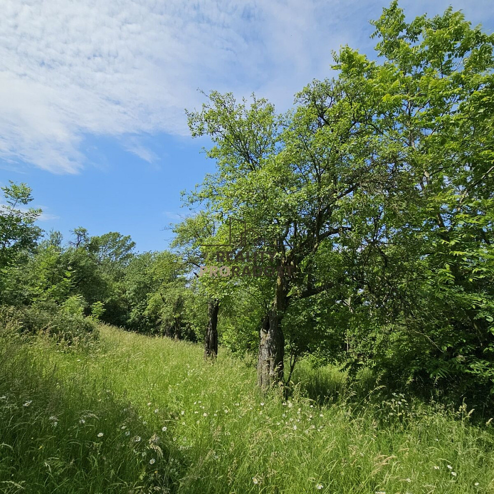 Prodej pozemku 4 253 m² – pohled 3