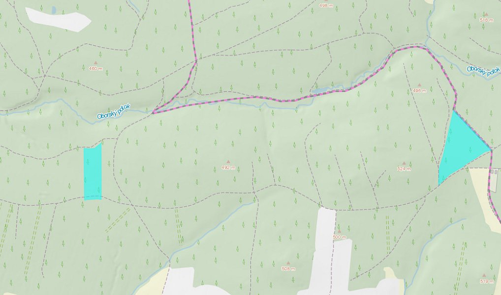 Prodej lesa 309 882 m², Jetětice – náhled fotky 2