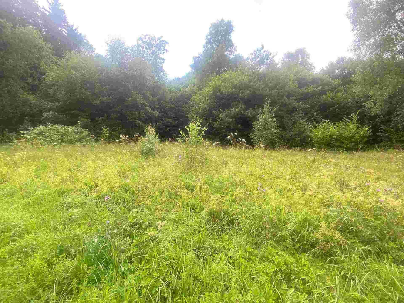 Prodej stavebního pozemku 1 004 m²