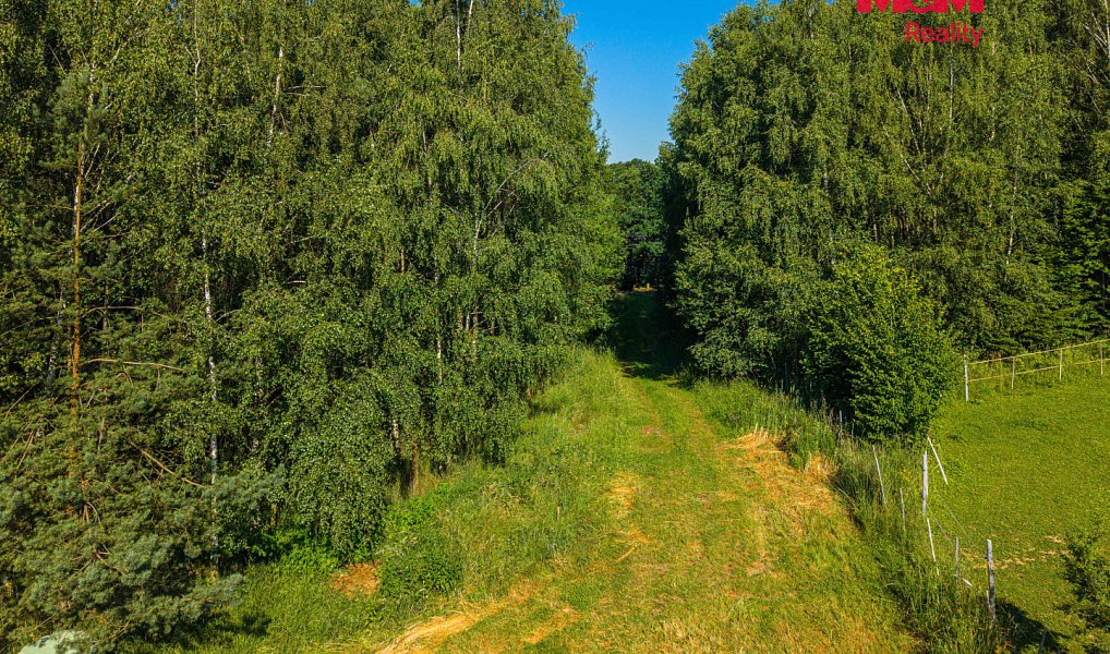 Prodej louky 29 562 m², Petrovice u Karviné – náhled fotky 5