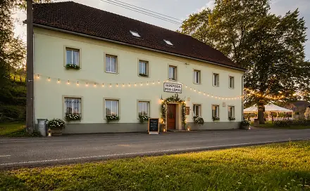 Prodej domu 302 m² s pozemkem 511 m², Černousy - Ves, okres Liberec