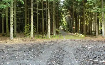 Prodej lesa 179 312 m², Modřínová, Zlín - Velíková