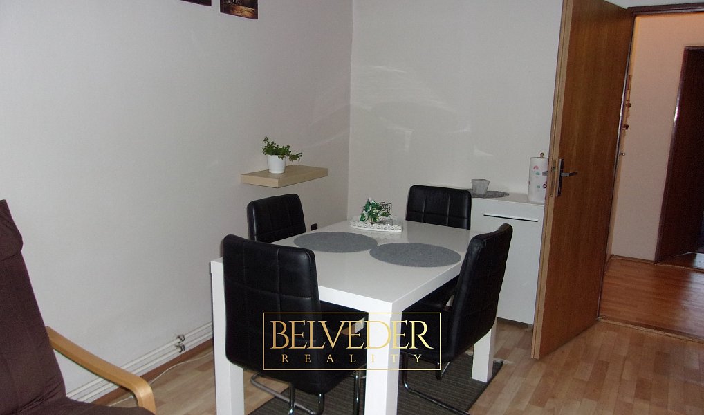 Pronájem bytu 1+1 66 m², Teplice – náhled fotky 2
