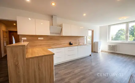 Prodej bytu 4+kk 93 m², Tyršova, Vyškov - Vyškov-Předměstí