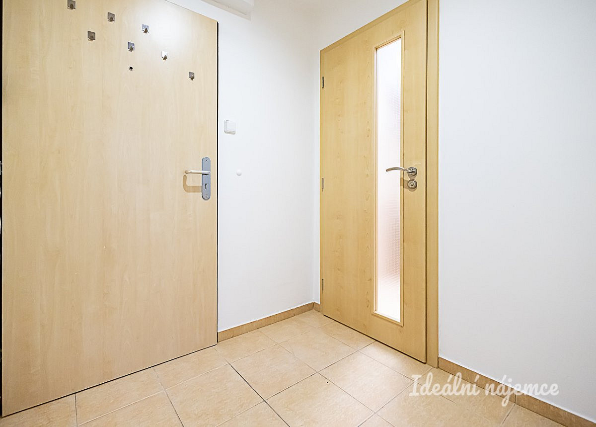 Pronájem bytu 1+kk 27 m² - More