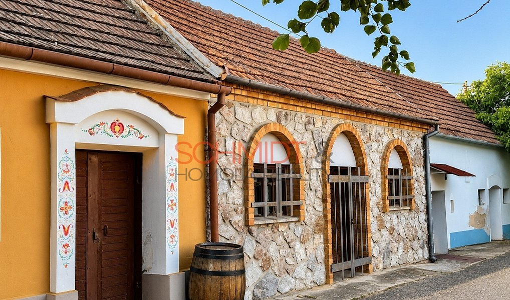 Prodej vinného sklepa Bořetice, Bořetice – fotka 1 z 20