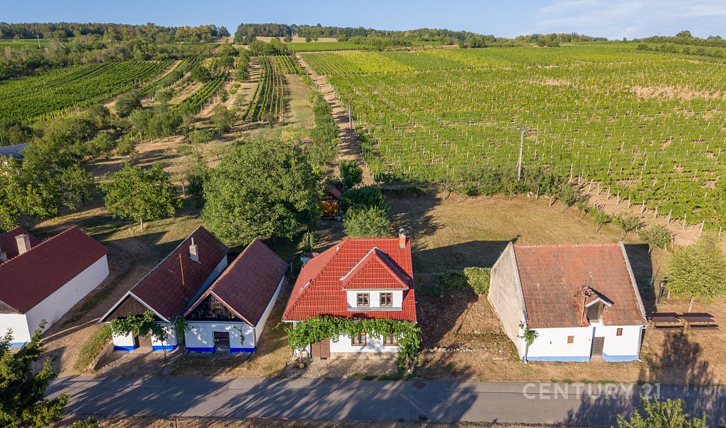 Vinný sklep 83m2, pozemky 8.420m2, Blatnice pod Svatým Antonínkem, Blatnice pod Svatým Antonínkem – fotka 1 z 31