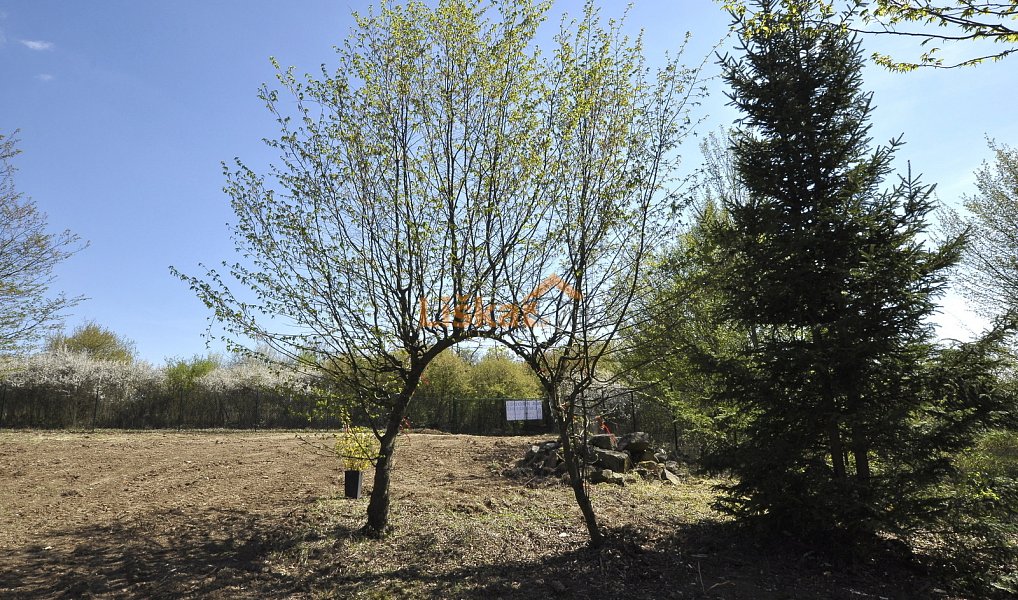 Prodej zahrady 1 427 m², Bílovice nad Svitavou – náhled fotky 7