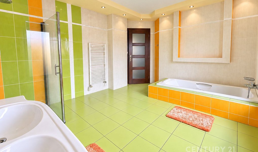 Prodej domu 258 m² s pozemkem 1 073 m², Blovice – náhled fotky 19