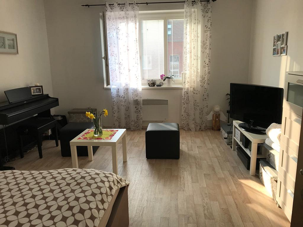 Pronájem bytu 1+1 40 m²