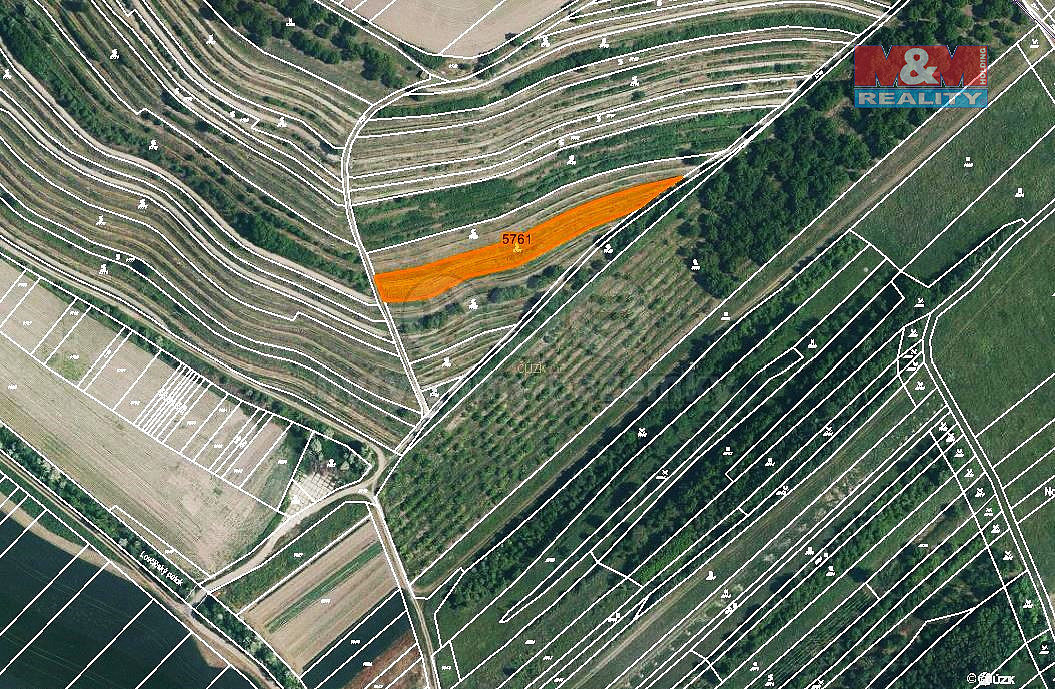 Prodej pole 1 954 m²