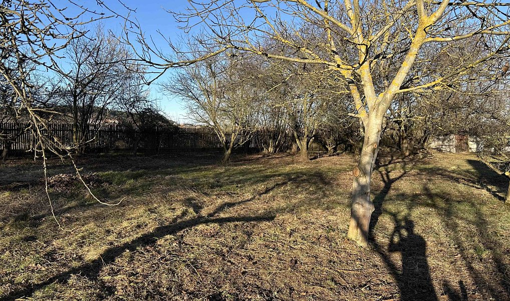 Prodej stavebního pozemku 1 472 m², Pičín – náhled fotky 5