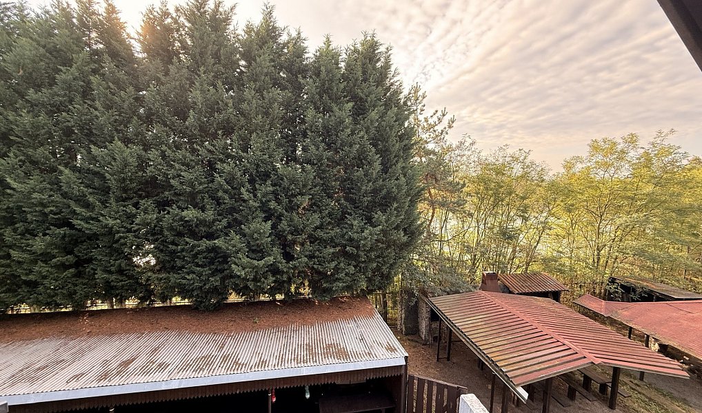 Prodej chaty/chalupy 180 m² s pozemkem 1 143 m², Račice – náhled fotky 20