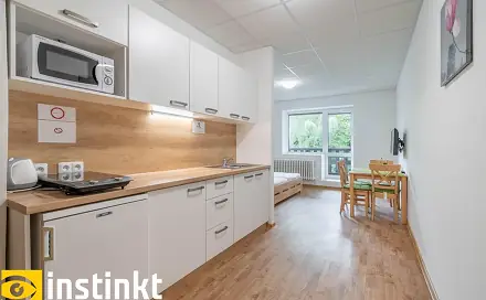 Pronájem bytu 1+kk 35 m², Železná Ruda, okres Klatovy