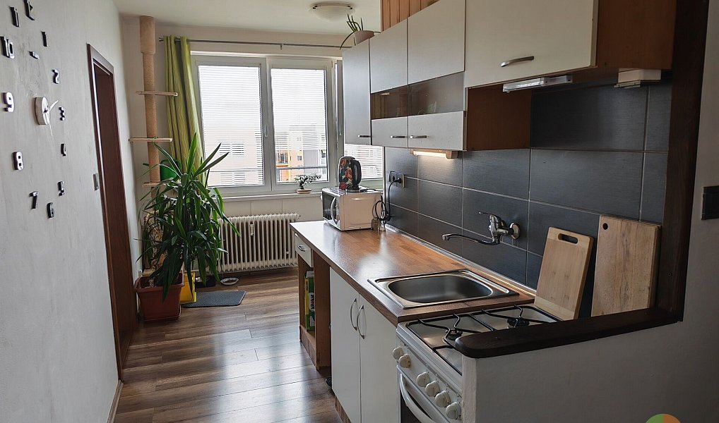Prodej bytu 1+1 45 m², České Budějovice – náhled fotky 9