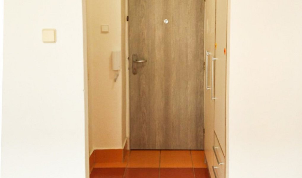 Pronájem bytu 1+1 30 m², Plzeň – náhled fotky 5