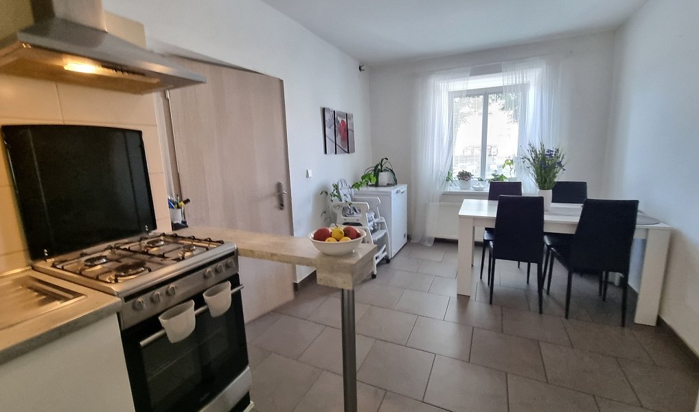 Prodej domu 200 m² s pozemkem 1 325 m², Žďárná – náhled fotky 7