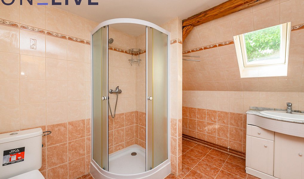 Prodej domu 234 m² s pozemkem 1 080 m², Tužice – náhled fotky 28