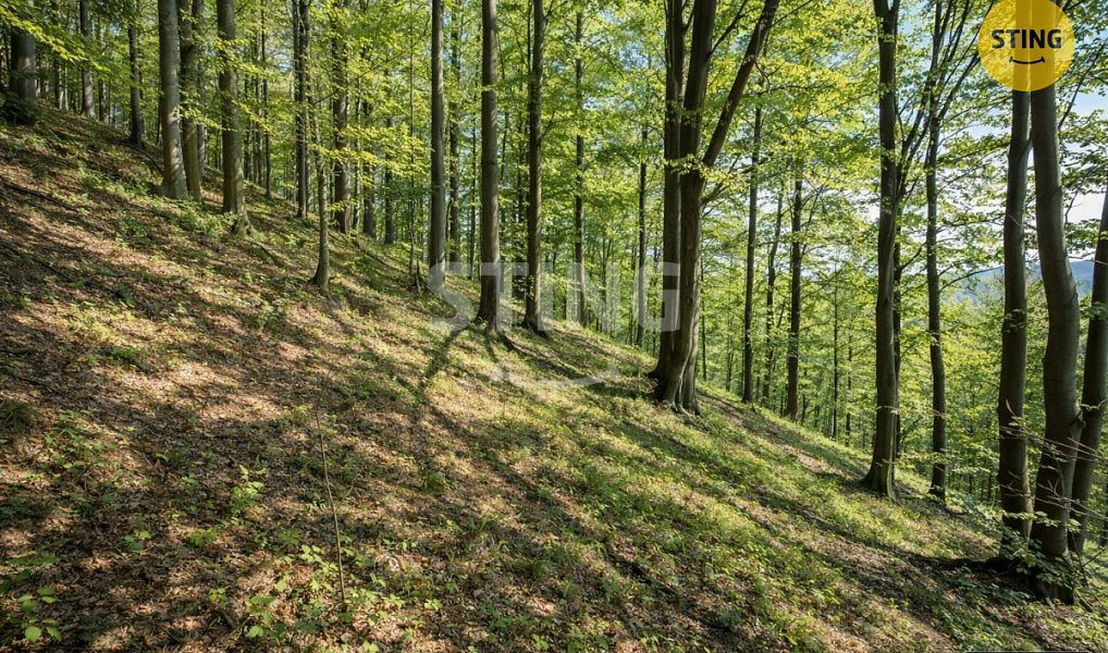 Prodej chaty/chalupy 62 m² s pozemkem 319 m², Komorní Lhotka – náhled fotky 17