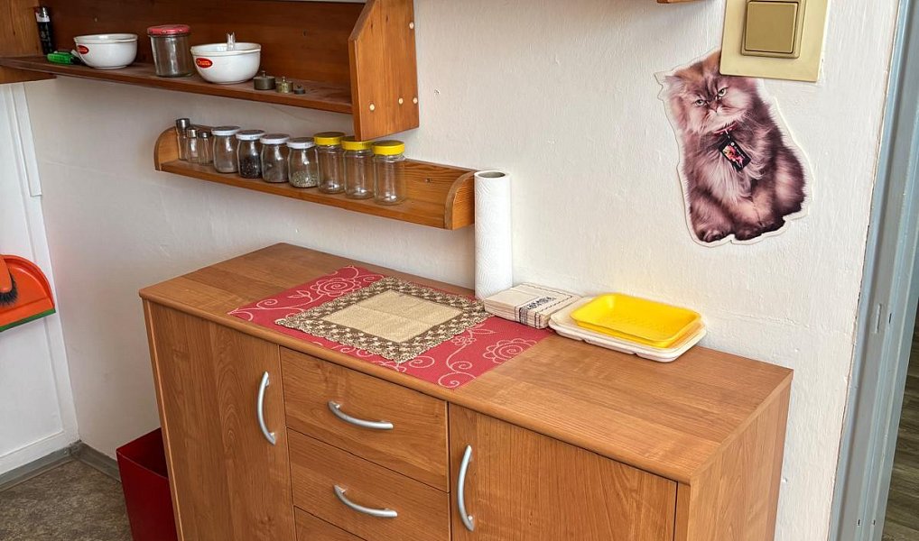 Prodej bytu 2+1 55 m², Český Krumlov – náhled fotky 2