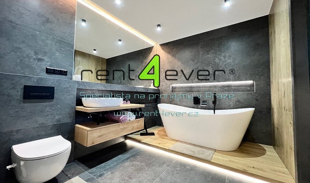 Pronájem domu 118 m² s pozemkem 521 m², Nová Ves pod Pleší – náhled fotky 9