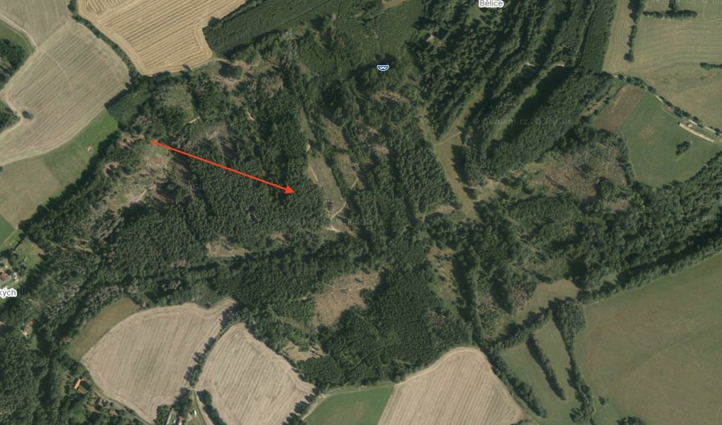 Prodej lesa 19 133 m², Koberovice – náhled fotky 2