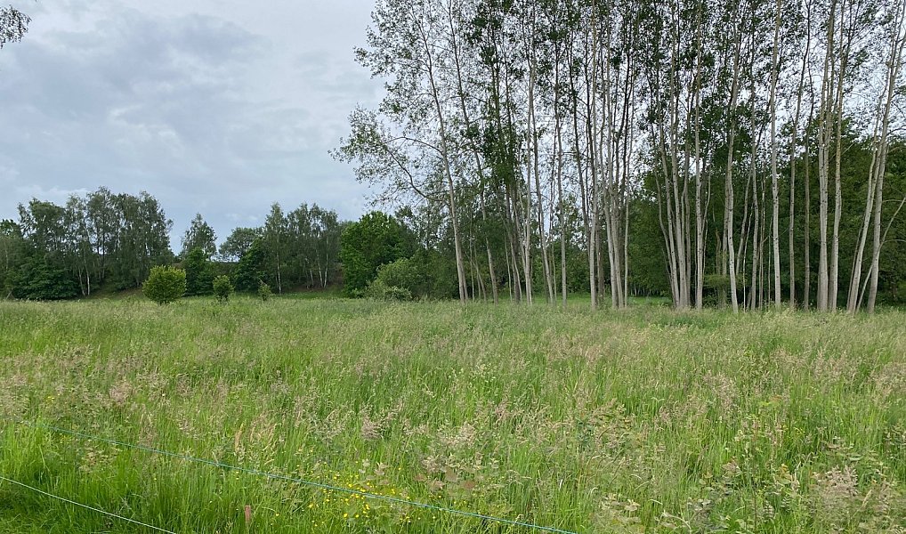 Prodej stavebního pozemku 1 344 m², Varnsdorf – náhled fotky 3