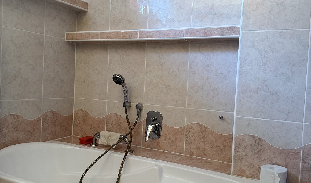 Prodej domu 250 m² s pozemkem 1 245 m², Spálov – náhled fotky 16