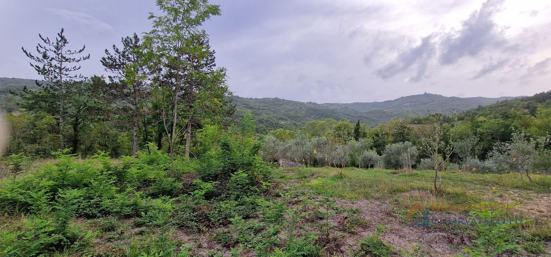 Prodej stavebního pozemku 9 054 m² - Widok 3