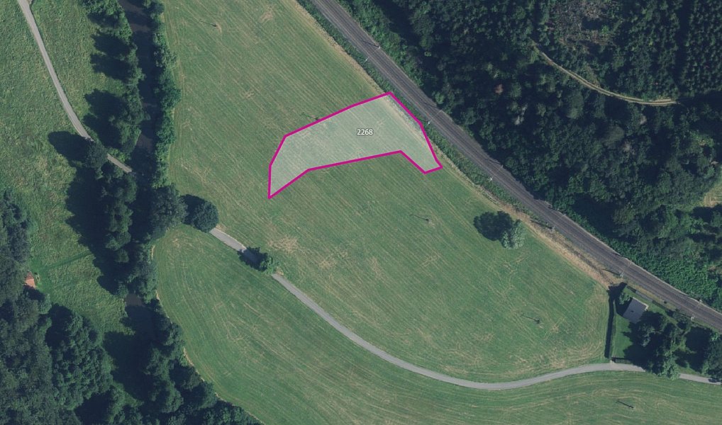 Prodej louky 3 176 m², Hynčina – fotka 1 z 3