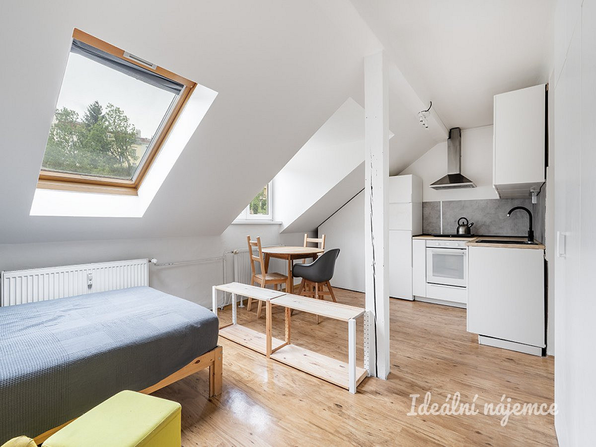 Pronájem bytu 1+kk 35 m², Praha