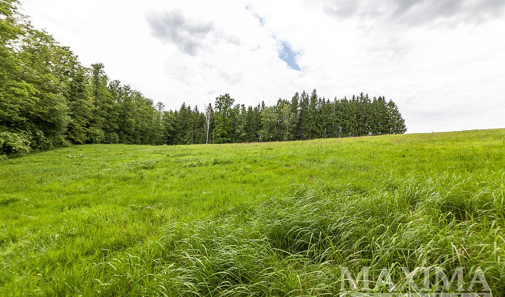 Prodej pole 14 573 m², Višňová – náhled fotky 14