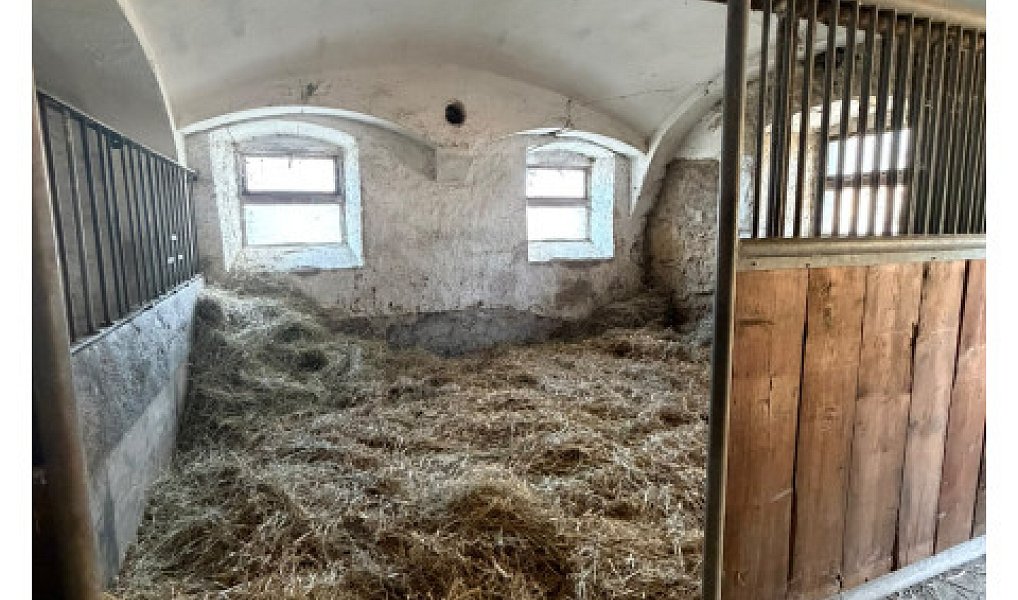 Prodej zemědělského objektu 300 m², Varnsdorf – náhled fotky 24