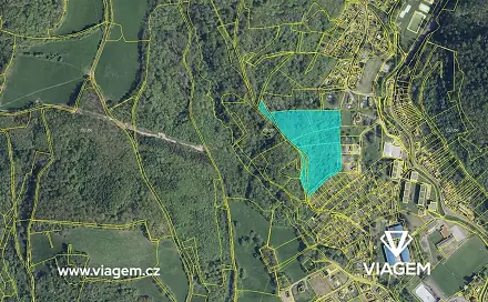 Prodej lesa 26 984 m², Povrly, okres Ústí nad Labem