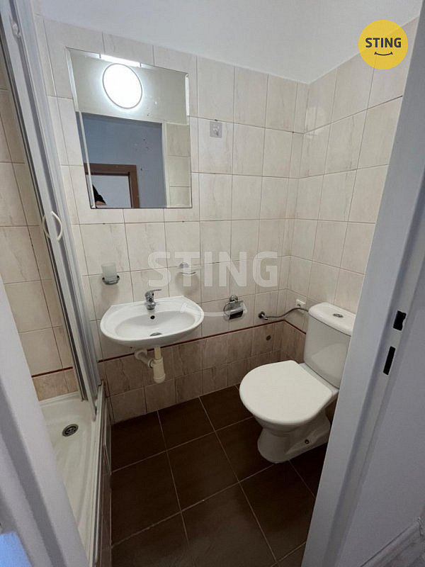 Pronájem bytu 1+1 38 m² — photo 4